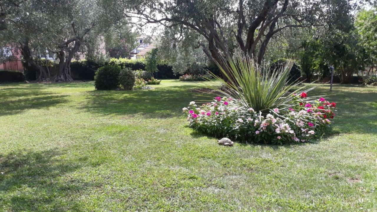 Apartmani Seka Vodice Ngoại thất bức ảnh
